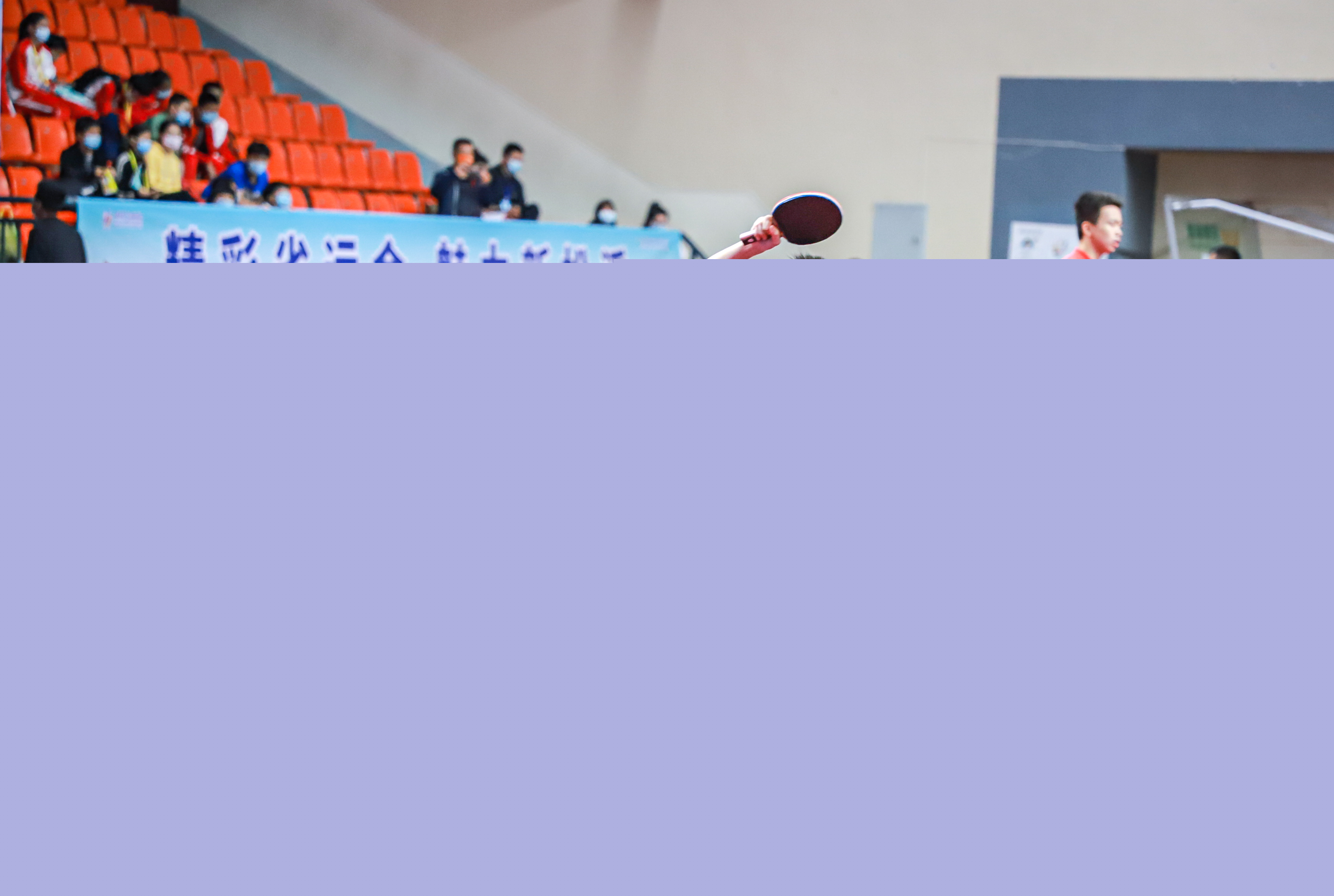 雄鹿可能会 雄鹿可能会