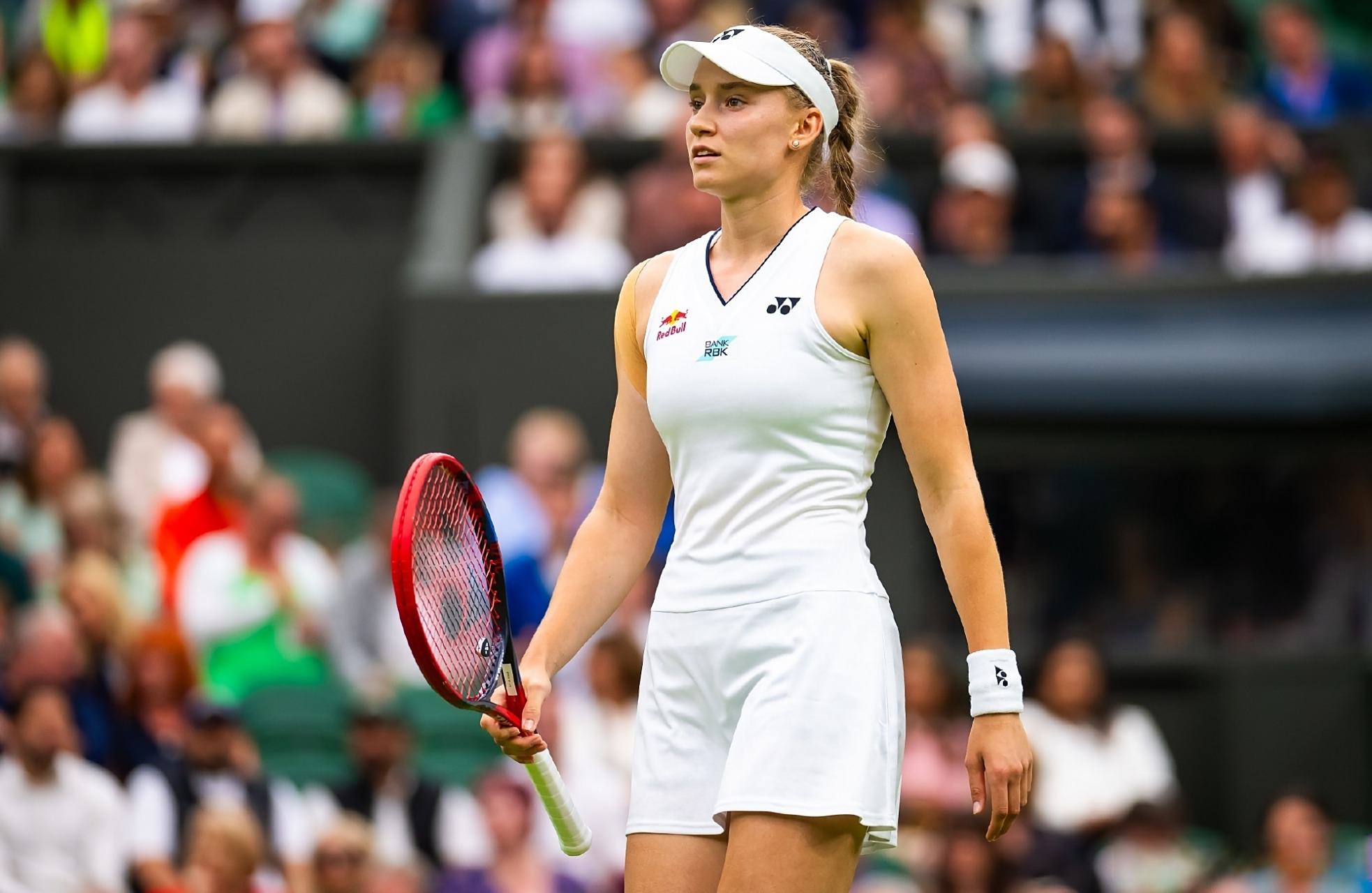 灰熊陷入困 灰熊陷入困